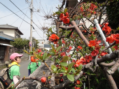 街道沿いの風景
