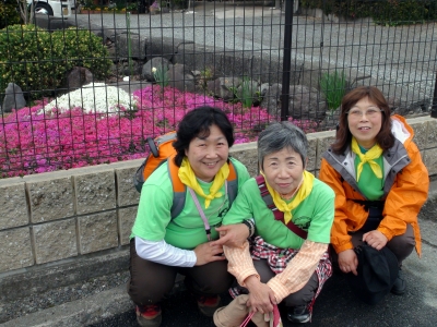 芝桜の富士山