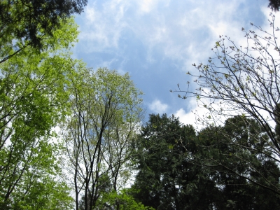 青空