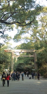 20120109092939.jpg