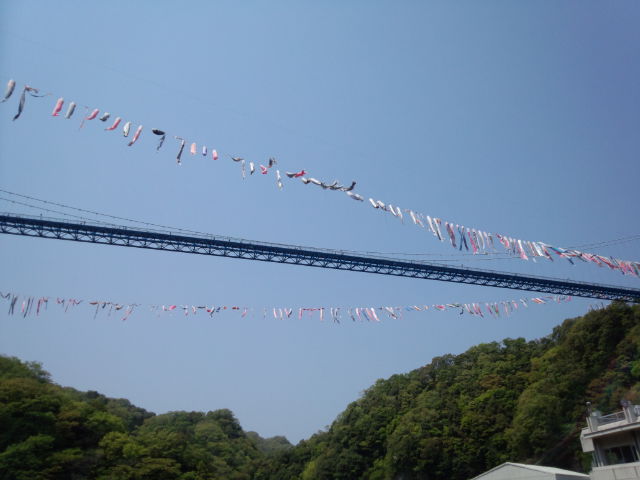 DSC_0101.jpg