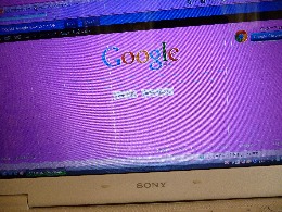 パソコン画面が紫色に変身です ベイトネット釣り情報