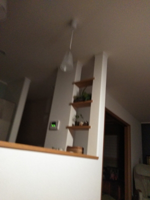 20200703_2843613.jpg