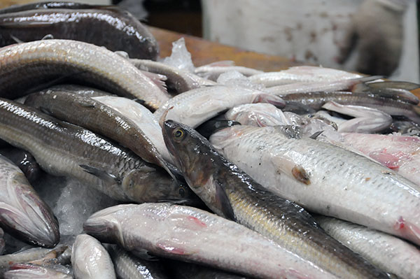 えそ醤油