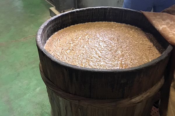 新潟県産醤油復活プロジェクト