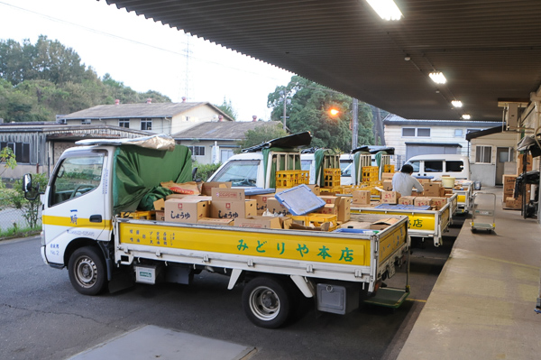 緑屋本店