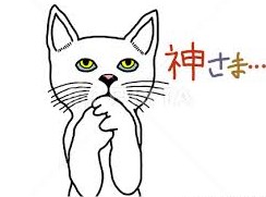 imagesNK8MN8AC.jpg