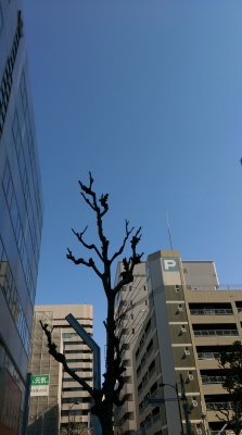 IMAG0396.jpg