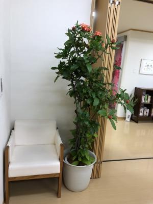 隠れたコーナー