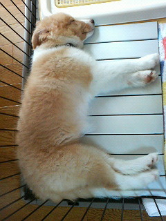 200908231002001.jpg