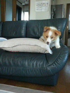 200908111720000.jpg