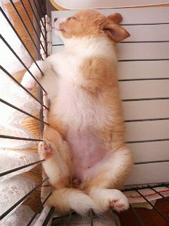 200908110833000.jpg