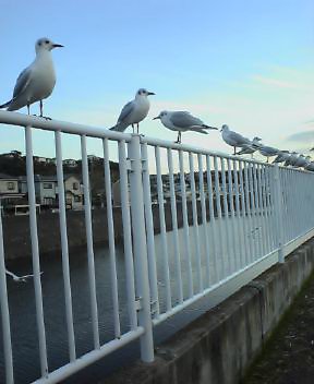 20051124_73134.jpg