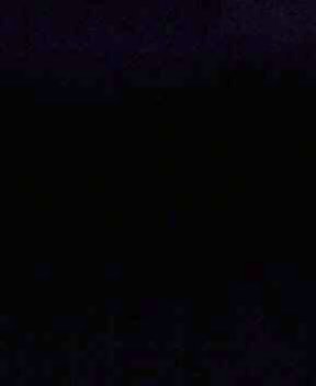 20070312_334550.jpg