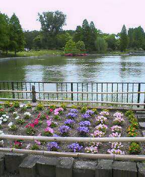 20070604_373890.jpg