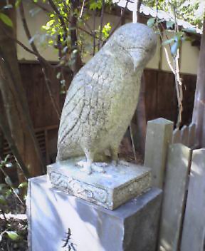 NEC_0127.jpg