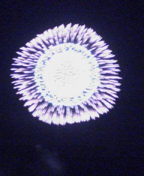 NEC_0083.jpg