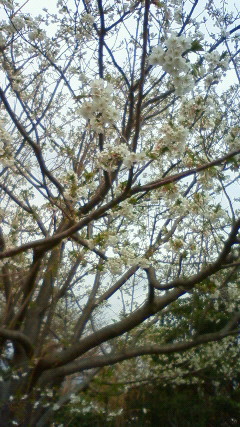 201003181030000.jpg