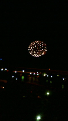 201008031936000.jpg