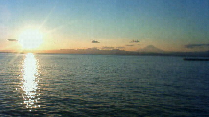 201101181631000.jpg