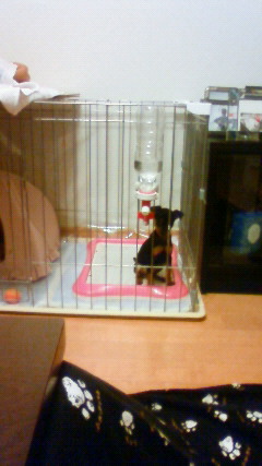201103102023000.jpg
