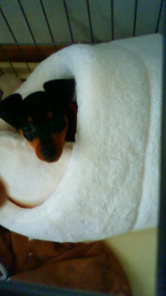 201104261436002.jpg