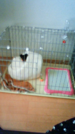 201104261436001.jpg