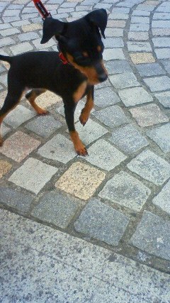 201105031039000.jpg