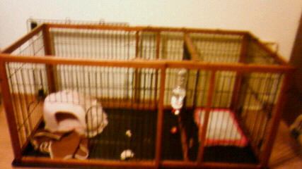 201106112027001.jpg