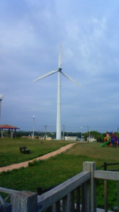 201108021620002.jpg