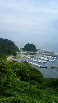 201108021620001.jpg