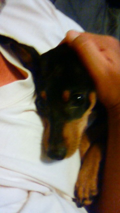 201108012139004.jpg