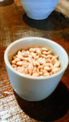 201110251352000.jpg