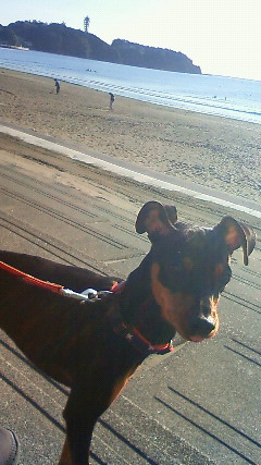 201112131425001.jpg