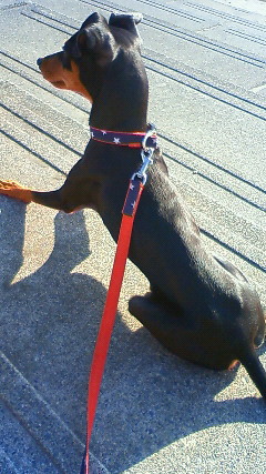 201112131429000.jpg