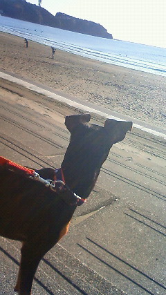 201112131425000.jpg