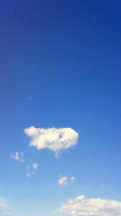 201202091331000.jpg