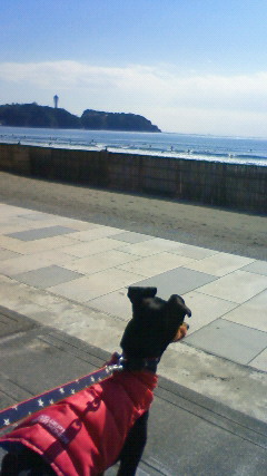 201202191336000.jpg