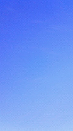 201202191402000.jpg