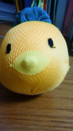 201202262244000.jpg