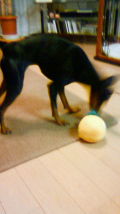 201202262112000.jpg