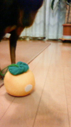 201202262112002.jpg