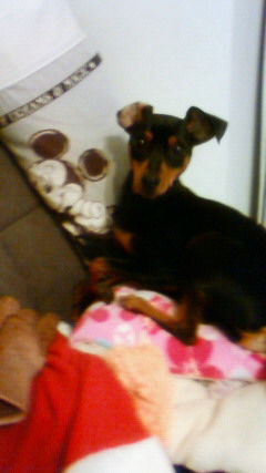 201203222108001.jpg