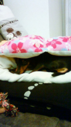 201203152144000.jpg
