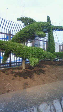 201205311657001.jpg