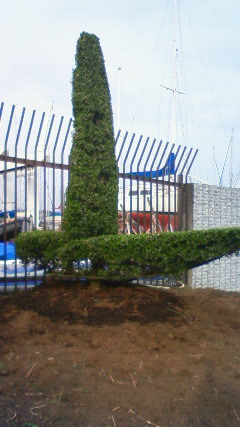201205311657000.jpg
