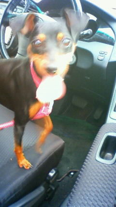 201206231123000.jpg