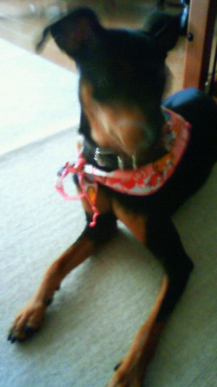 201206271551000.jpg