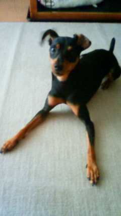 201207111147001.jpg