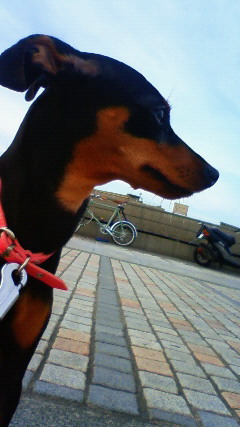 201207041753000.jpg